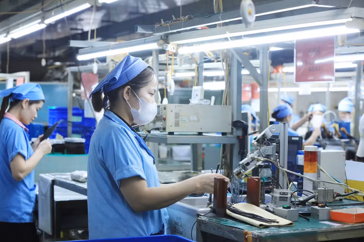 Nửa đầu năm 2024, 9/17 ngành có số lượng doanh nghiệp thành lập mới tăng cao như vận tải, kho bãi; sản xuất, phân phối, điện, nước, gas; bán buôn; bán lẻ; sửa chữa ô tô, xe máy… Ảnh: Tường Lâm