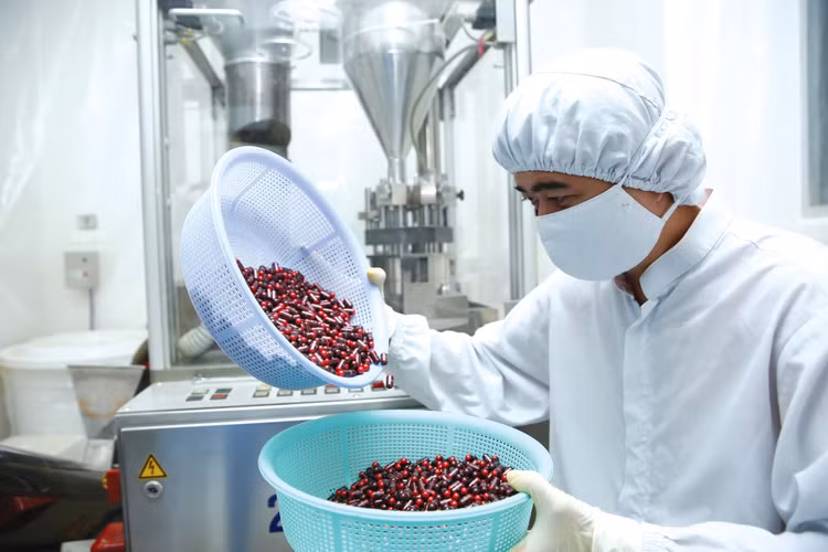 Việc đầu tư dây chuyền sản xuất đạt tiêu chuẩn EU-GMP hoặc tương đương giúp doanh nghiệp dược nội địa đủ khả năng tham gia sâu hơn trong lĩnh vực đấu thầu thuốc. Ảnh: Lê Tiên