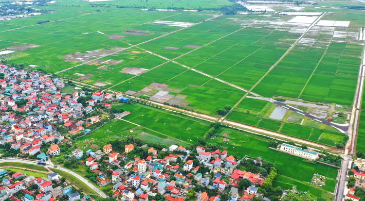 Việc sử dụng giá đất nông nghiệp trong bảng giá đất để xác định giá khởi điểm đấu giá cho thuê đất đối với đất nông nghiệp chưa sử dụng vào mục đích công ích là không phù hợp. Ảnh: Tiên Giang