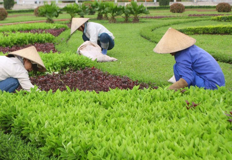 Ảnh chỉ mang tính minh họa