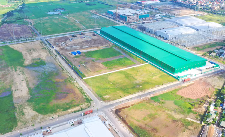 Số tiền thuê đất, thuê mặt nước được giảm theo các quyết định của Thủ tướng trong các năm 2021, 2022, 2023 trung bình là 3.734 tỷ đồng/năm. Ảnh: Lê Tiên