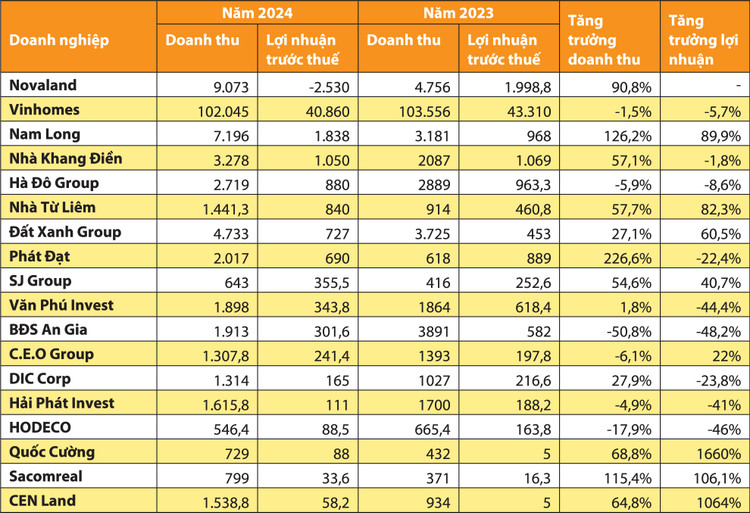 Kết quả kinh doanh năm 2024 của các doanh nghiệp bất động sản nhà ở. Nguồn: Báo cáo tài chính doanh nghiệp. Đơn vị tính: Tỷ đồng