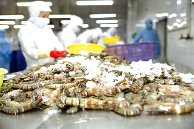 5 tháng đầu năm nay, xuất khẩu thủy sản của Việt Nam đạt khoảng 3,5 tỷ USD, giảm gần 30% so với cùng kỳ năm trước. Ảnh: Lê Tiên