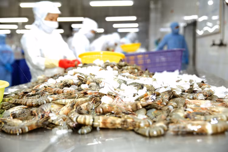 5 tháng đầu năm nay, xuất khẩu thủy sản của Việt Nam đạt khoảng 3,5 tỷ USD, giảm gần 30% so với cùng kỳ năm trước. Ảnh: Lê Tiên