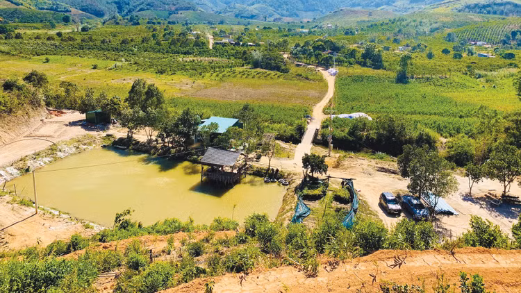 Farmstay về bản chất là loại hình bất động sản lưu trú, do đó các nhà đầu tư cần quan tâm đến hành lang pháp lý khi tiến hành đầu tư sản phẩm này. Ảnh: Lâm Nguyễn