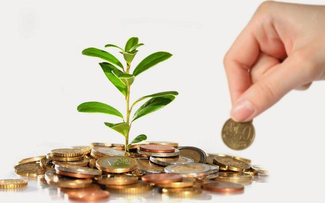 PSD tạm ứng cổ tức 10% bằng tiền