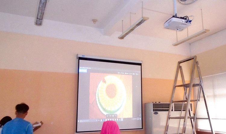 Từ tháng 5/2020 đến nay, Công ty TNHH Xây dựng và Thương mại Thủ Độ trúng 9 gói thầu tại Vĩnh Phúc do Công ty CP Đầu tư Xây dựng - Thương mại số 9 làm tư vấn đấu thầu. Ảnh: NC st