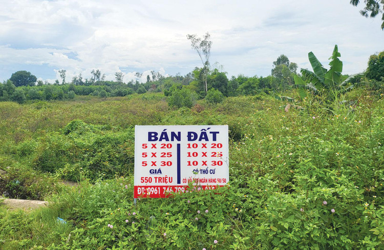 Dọc tuyến ven biển qua địa bàn Quảng Ngãi, người dân dựng lên nhiều bảng rao bán đất. Ảnh: P.V