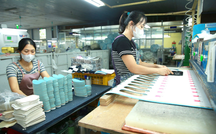 Doanh nghiệp có tổng doanh thu năm không quá 3 tỷ đồng được áp thuế thu nhập doanh nghiệp 15%, tổng doanh thu năm từ trên 3 tỷ đồng đến 50 tỷ đồng là 17%. Ảnh: Tiên Giang