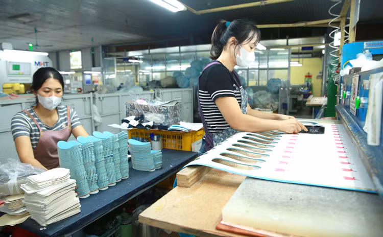 Doanh nghiệp có tổng doanh thu năm không quá 3 tỷ đồng được áp thuế thu nhập doanh nghiệp 15%, tổng doanh thu năm từ trên 3 tỷ đồng đến 50 tỷ đồng là 17%. Ảnh: Tiên Giang