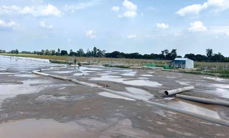 Nhà thầu bơm cát nền đường chính cao tốc Cao Lãnh - An Hữu. Ảnh: Ngọc Tuấn