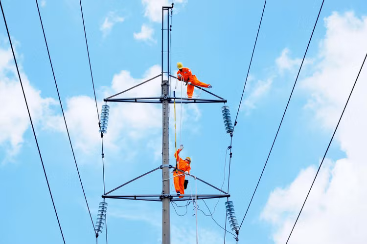 Tập đoàn Điện lực Việt Nam là doanh nghiệp tiên phong trong việc tổ chức lựa chọn nhà thầu thực hiện các công trình dự án qua mạng. Ảnh: Lê Tiên