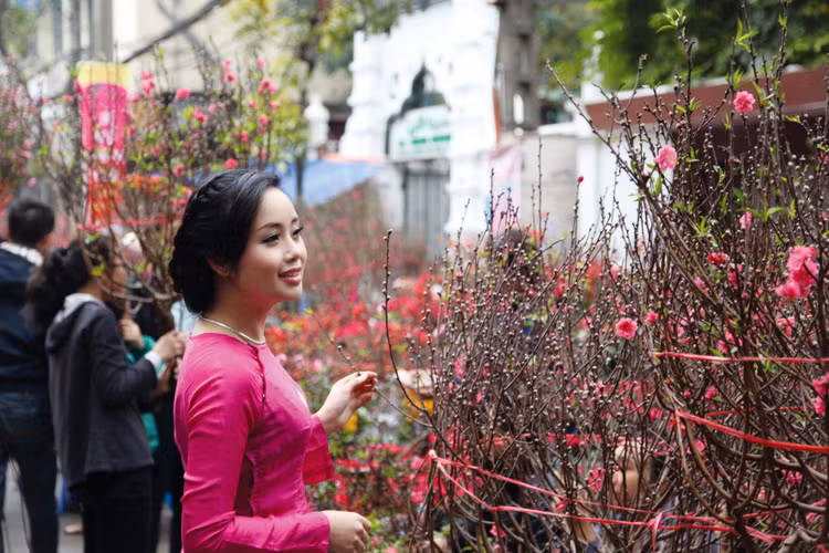 Hoa đào mang đến linh hồn cho ngày Tết cổ truyền của người Việt. Ảnh: Lê Tiên