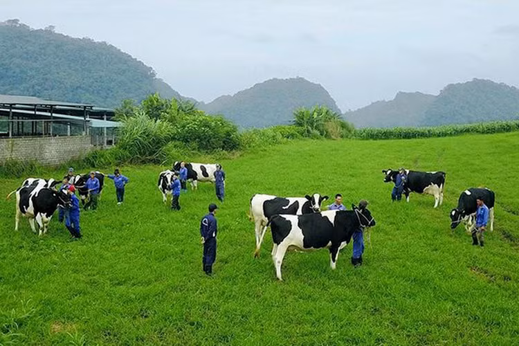 M&A giúp nhiều “ông lớn” vươn mình