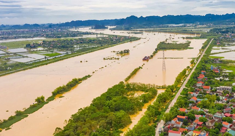 Ảnh chỉ mang tính minh họa: Internet