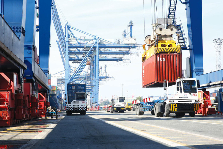 Bất chấp ảnh hưởng của dịch Covid-19, kim ngạch xuất khẩu hàng hóa 7 tháng năm 2021 ước tính đạt 185,33 tỷ USD, tăng 25,5% so với cùng kỳ năm trước. Ảnh: Tiên Giang