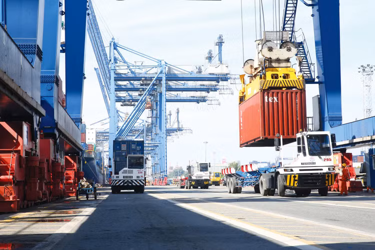 Bất chấp ảnh hưởng của dịch Covid-19, kim ngạch xuất khẩu hàng hóa 7 tháng năm 2021 ước tính đạt 185,33 tỷ USD, tăng 25,5% so với cùng kỳ năm trước. Ảnh: Tiên Giang