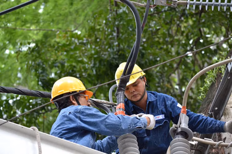 Công ty CP Thiết bị điện Tuấn Ân từng trúng nhiều gói thầu cung cấp thiết bị điện tại các tỉnh, thành trong cả nước. Ảnh minh họa: MT