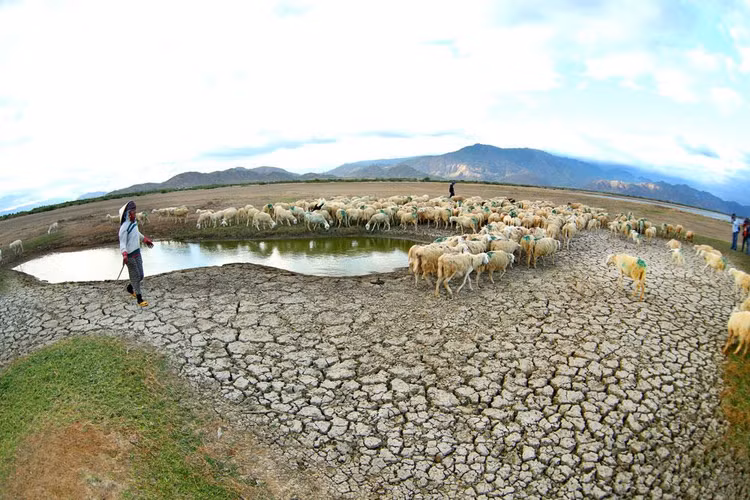 Đến năm 2030, Việt Nam có khả năng đạt được mục tiêu phát triển bền vững về xóa nghèo, xóa đói, giáo dục có chất lượng và các hành động bảo vệ khí hậu… Ảnh: Lê Tiên