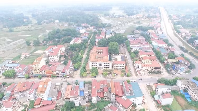 Ảnh minh họa: Internet