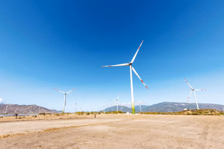 Trong 146 dự án điện gió đã ký hợp đồng mua bán điện với Tập đoàn Điện lực Việt Nam, có 84 dự án đã được công nhận vận hành thương mại. Ảnh: Hà Minh