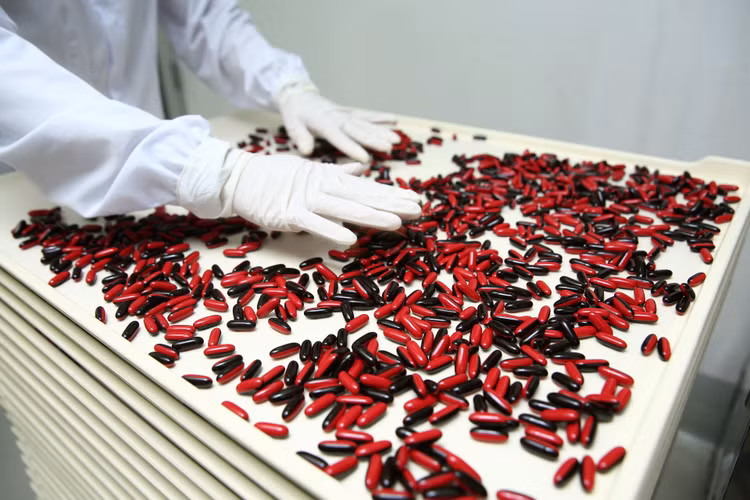 Hai gói thầu cung cấp thuốc cho các cơ sở y tế trên địa bàn tỉnh Tây Ninh giai đoạn 2022 - 2024 đang trong giai đoạn lựa chọn nhà thầu. Ảnh minh họa: Tiên Giang