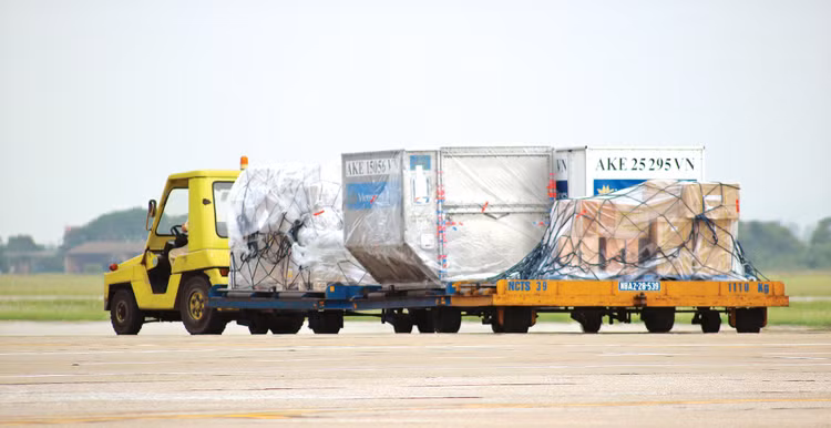 Công ty CP Dịch vụ Hàng hóa Nội Bài dự kiến trả cổ tức năm 2024 bằng tiền mặt với tỷ lệ 80%. Ảnh: Tường Lâm