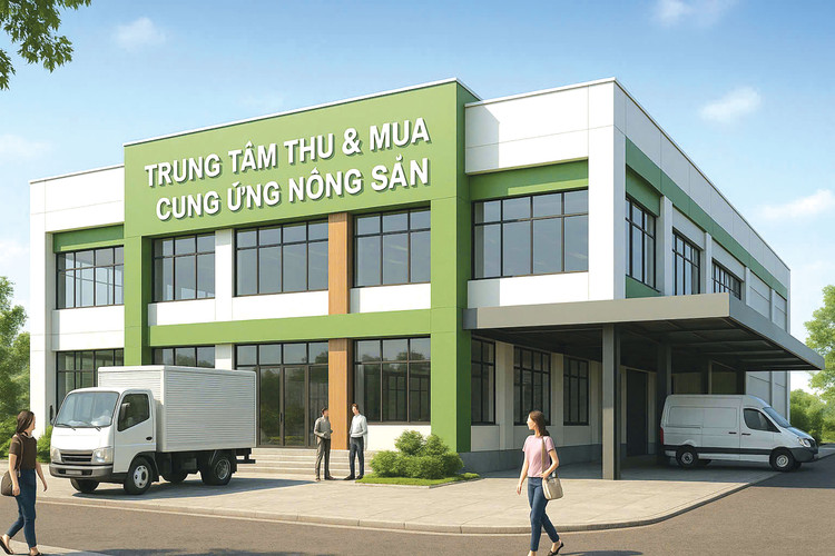Gói thầu số 02 thuộc Dự án Công trình xây dựng thí điểm Trung tâm Thu mua - cung ứng nông sản an toàn huyện Kế Sách do Công ty TNHH Tư vấn xây dựng Nhất Long làm bên mời thầu. Ảnh minh họa: Tiên Giang