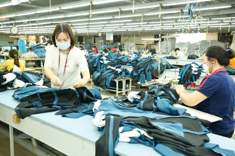 Việc tiếp tục giảm các loại thuế, phí, tiền thuê đất… cho doanh nghiệp, các gói hỗ trợ cho người lao động mất việc sẽ góp phần bảo đảm an sinh và duy trì sức cầu cho nền kinh tế. Ảnh: Lê Tiên