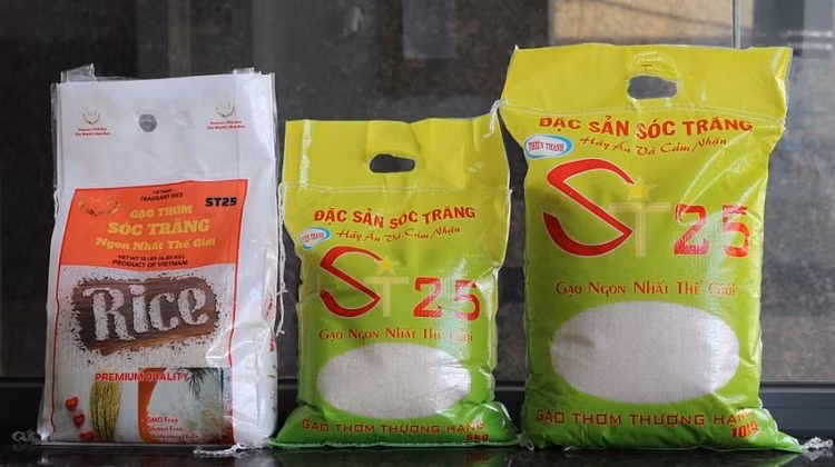 Xuất khẩu gạo ST25 tăng trưởng cao