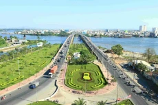 Đấu giá hơn 3,5 ha đất sản xuất tại Khu kinh tế Hoa Lư. Ảnh minh họa: Intrenet