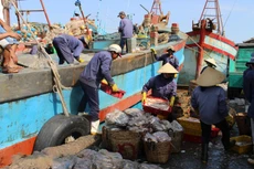 Đấu giá quyền thuê 1.500 m2 mặt bằng cảng cá Bình Đại (tỉnh Vĩnh Long). Ảnh minh hoa: Internet