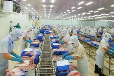 Đấu giá toàn bộ nhà xưởng và hệ thống máy móc của Công ty Ngọc Thái. Ảnh minh họa: Internet