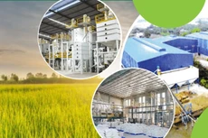 DATC rao bán khoản nợ gần 120 tỷ đồng, tài sản đảm bảo là toàn bộ nhà máy xay xát ở An Giang