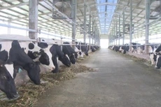 Ảnh chỉ mang tính minh họa. Nguồn: Internet