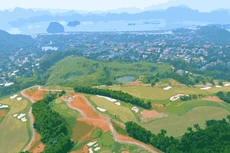 Taseco Land lập liên danh để đấu thầu dự án 2.500 tỷ tại Ninh Bình. Ảnh minh họa: Internet