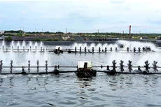 Đấu giá hệ thống nhà xưởng và dây chuyền sản xuất thức ăn thủy sản tại Cần Thơ. Ảnh minh họa: Internet