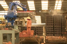 Ảnh chỉ mang tính minh họa. Nguồn: Internet