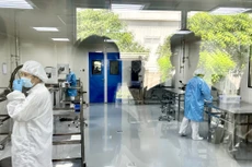 Đấu giá hệ thống máy móc sản xuất thủy tinh thể nhân tạo thuộc dự án sản xuất thủy tinh thể nhân tạo tại Khu Công nghệ cao TP.HCM. Ảnh minh họa: Internet