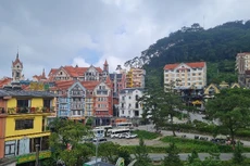 Petrocons chính thức đấu giá lô đất 3.400 m2 tại Tam Đảo. Ảnh minh họa: Intrenet