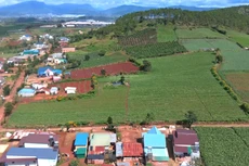 Đấu giá khu đất và công trình rộng hơn 5.500 m2 tại Đơn Dương (Lâm Đồng). Ảnh minh họa: Internet