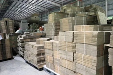 Đấu giá toàn bộ nhà máy sản xuất bao bì carton Tịnh Tiến (Quảng Ngãi) hơn 25 tỷ đồng. Ảnh minh họa: Intrenet