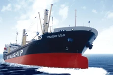 Đấu giá tàu chở hàng khô Vinaship Gold trọng tải hơn 13.000 DWT. Ảnh: Intrenet
