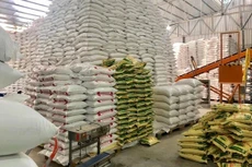 Đấu giá hệ thống kho bãi và dây chuyền sản xuất lúa gạo Phước Thịnh (An Giang)