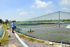 Đấu giá 41 nền đất ở và 186.242 m2 diện tích nuôi trồng thủy sản tại xã Trường Xuân (Đồng Tháp). Ảnh minh họa: Internet