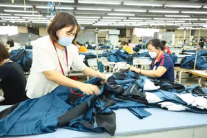 Đến cuối tháng 6, tín dụng cho khu vực kinh tế tư nhân đạt trên 18,2 triệu tỷ đồng. Ảnh: Tiên Giang 