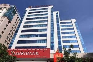 Nguồn vốn thực hiện gói thầu "Giải pháp phần mềm quản lý nguồn vốn” được trích từ nguồn vốn đầu tư mua sắm tài sản cố định của Agribank. 
