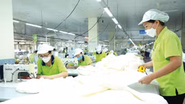 Báo chí là kênh thông tin giúp doanh nghiệp và người dân kịp thời nắm bắt, thực thi chính sách một cách đúng đắn, đồng thời tận dụng tốt các cơ hội cũng như phòng tránh rủi ro. Ảnh: Gia Khoa