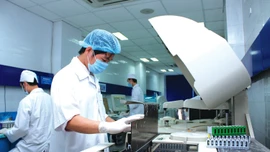 Bên cạnh giá cả và chất lượng, việc tuân thủ tiến độ giao hàng là yêu cầu cốt lõi phản ánh năng lực thực hiện hợp đồng của nhà thầu. Ảnh minh họa: Nhã Chi