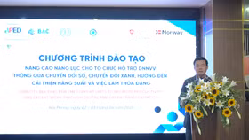 Lãnh đạo Cục Phát triển doanh nghiệp tư nhân và Kinh tế tập thể phát biểu khai mạc khóa đào tạo Nâng cao năng lực cho tổ chức hỗ trợ DNNVV thông qua chuyển đổi số, chuyển đổi xanh, hướng đến cải thiện năng suất và việc làm thỏa đáng tổ chức tại TP. Hải Phòng